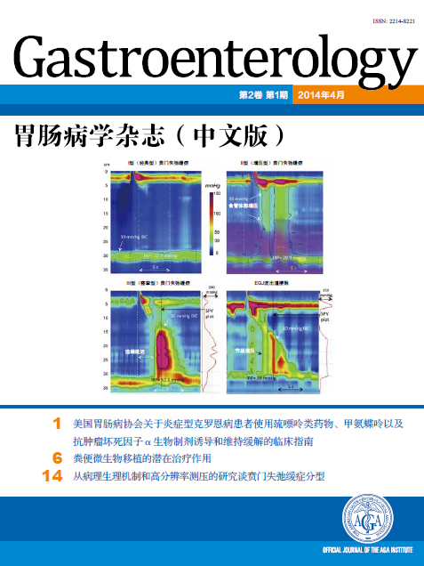 胃肠病学杂志（中文版）