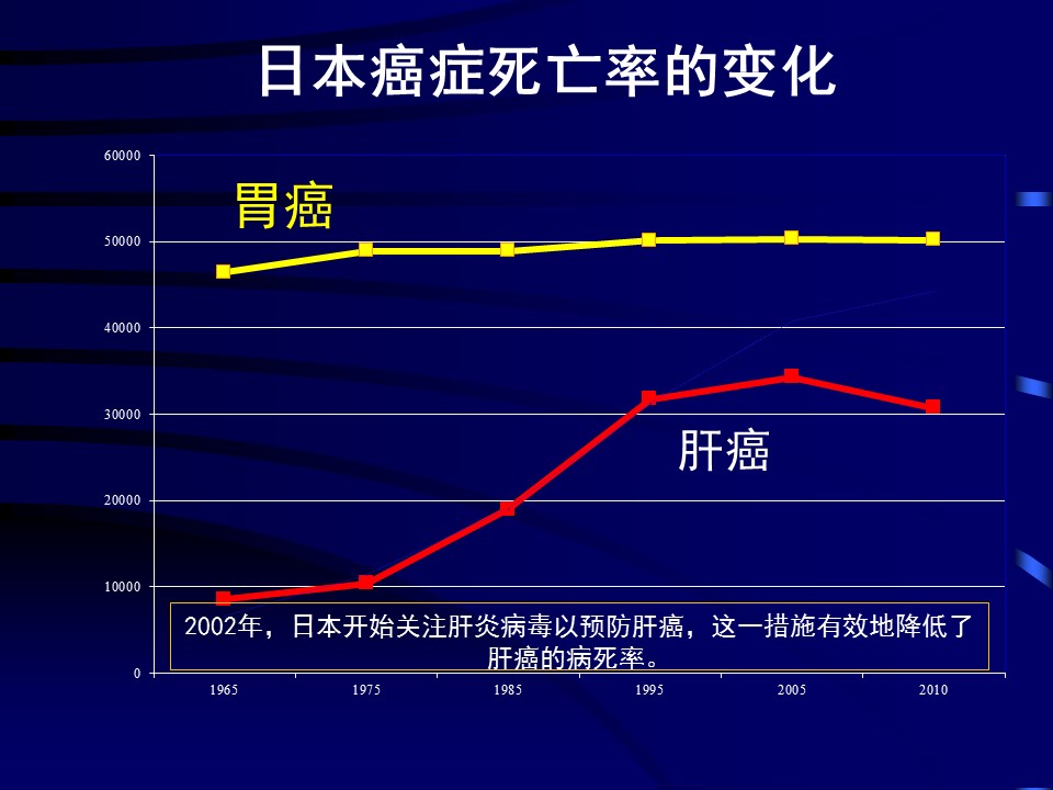 幻灯片19