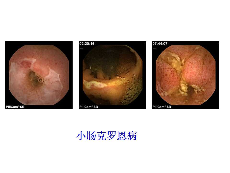 幻灯片21