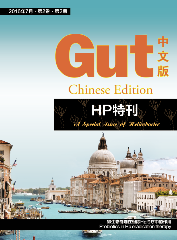 《Gut中文版》HP特刊